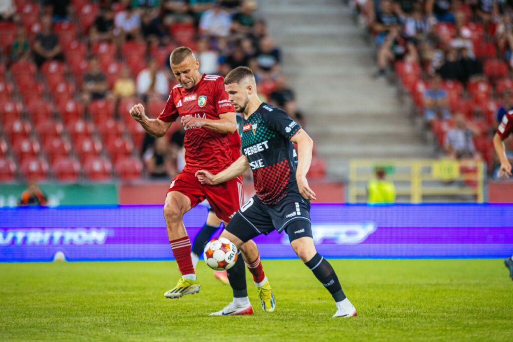 fot. Arkadiusz Wiśniewski | miedzlegnica.eu