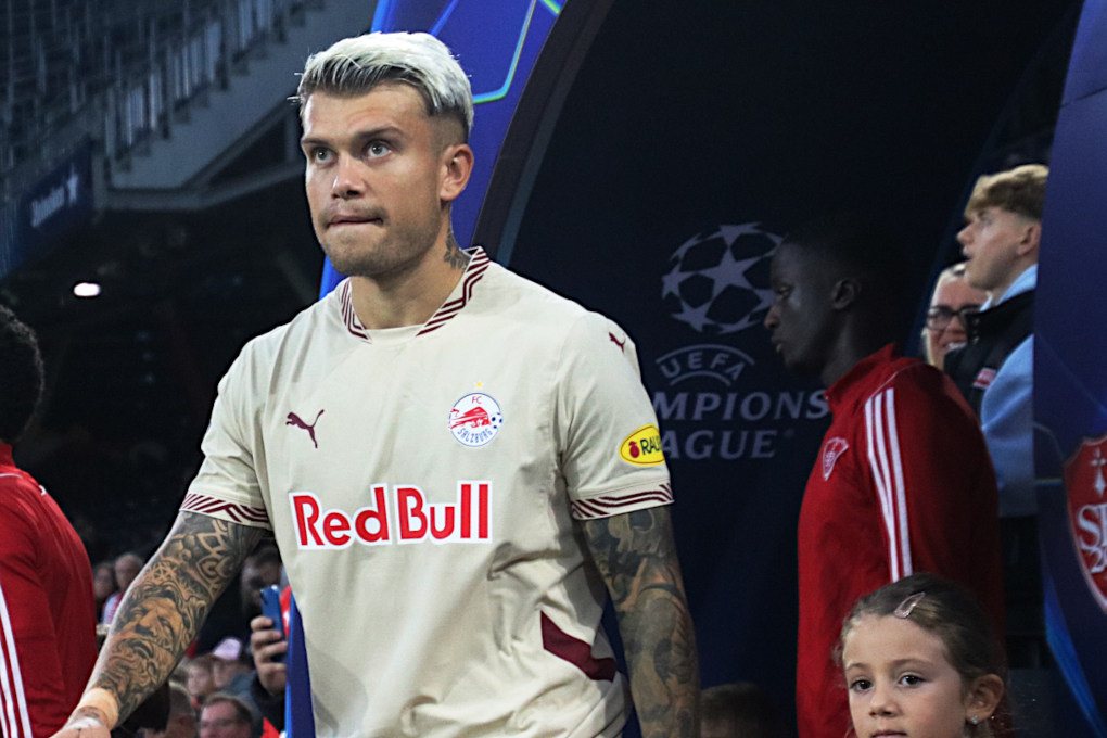 fot. Werner100359 | CC BY-SA 4.0 (modyfikowane)